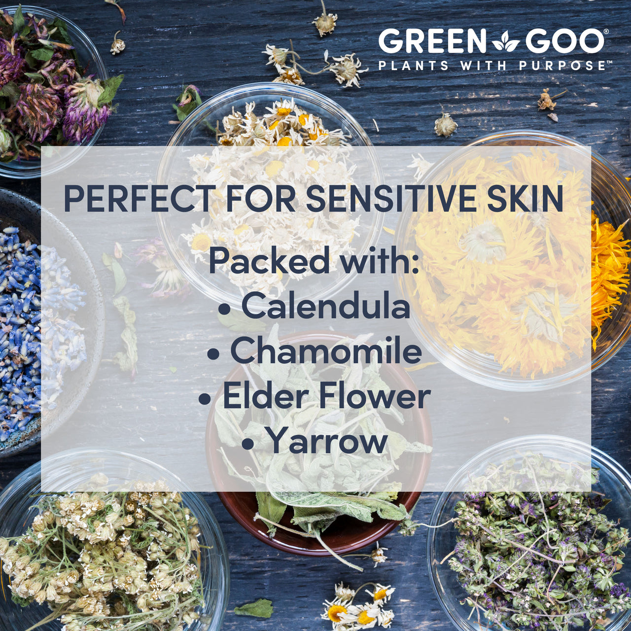 Dry Skin | Green Goo by Sierra Sage Herbs