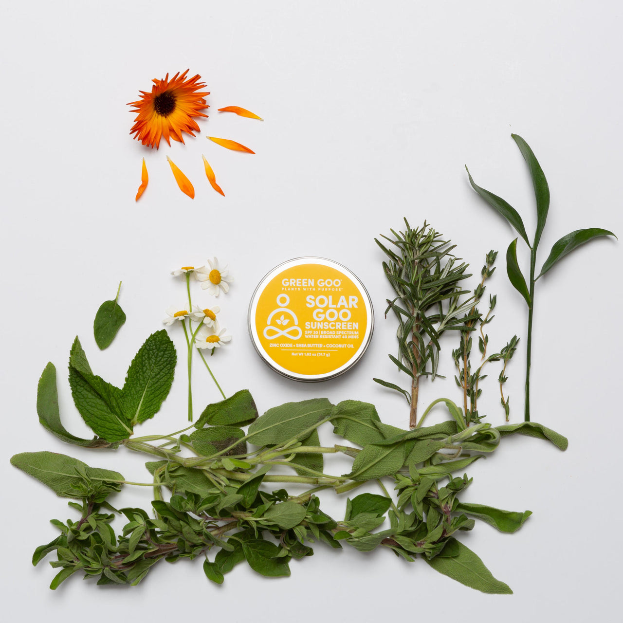 Solar Goo Sunscreen | Green Goo by Sierra Sage Herbs