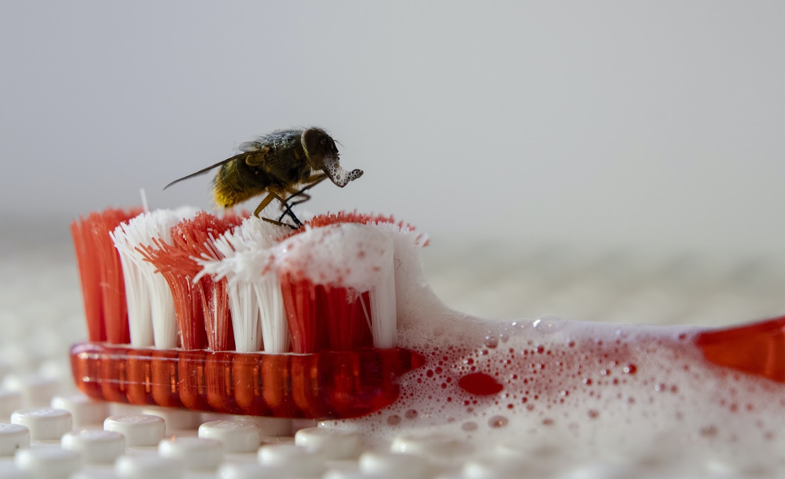 Why Fluoride is Questionable in Your Toothpaste